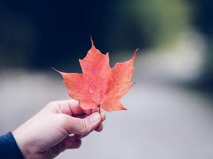 Anapanasati - Breath Awareness