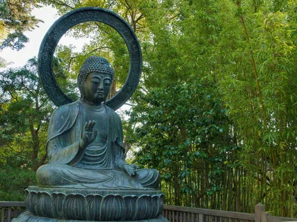 Anatta Grounded In Metta Field