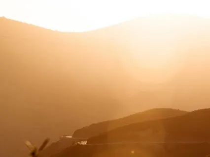 Ancestor Love + Connection Meditation