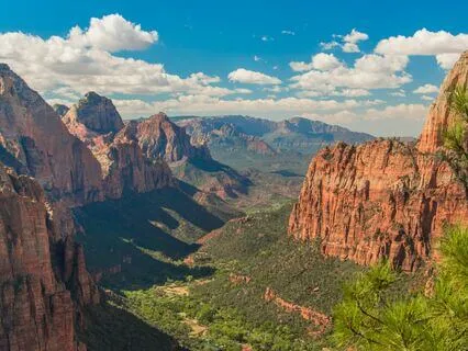 Ancestor, Shamanic Native Flute Medicine & Rainforest