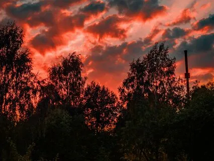 Ancestral Alchemy - Soulful Transformations Unveiled