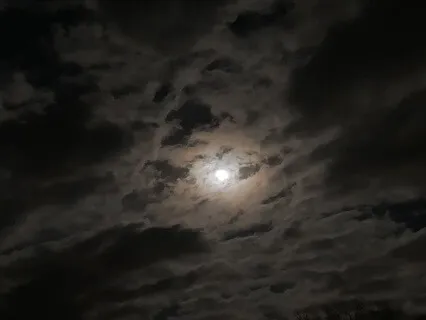 Ancestral Boundaries And Clearing