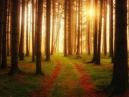 Ancestral Echoes: Awaken Your Spirit