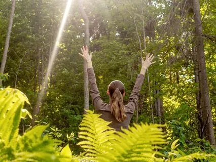 Ancestral Energy: Shamanic Power Meditation