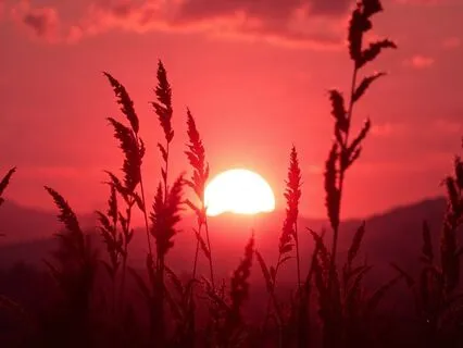 Ancestral Flute Flow: Music For Yoga And Meditation