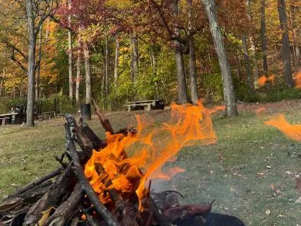 Ancestral Message Ritual: Drum & Sacred Voice (30 Min)