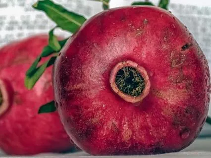 Ancestral Reverence Meditation: Healing Across Generations