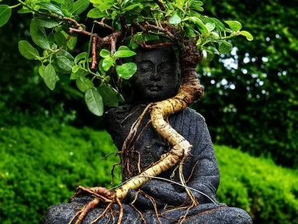 Ancestral Roots: Honoring Where You Come From