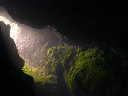 Ancestral Sound Healing Medicine |  A Place Within III of V