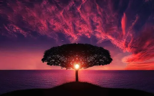 Ancestral War/Violence Transmission