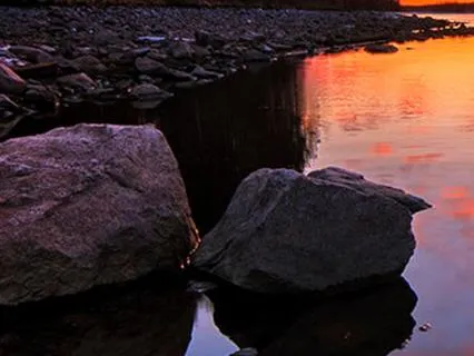 Anchor In The Breath: Short Pause For Nervous System Reset