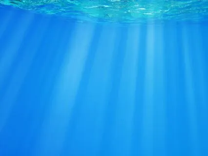 Anchor In Your Authentic Self And Ride The Waves