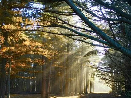 Anchor Into Your Sacred Core