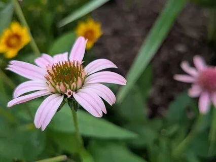 Anchor | Mindful Motivation