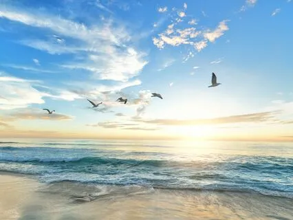 Anchored A Meditation For Uncertainty And Change