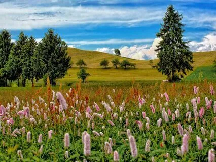 Anchored And Grounded In My Body