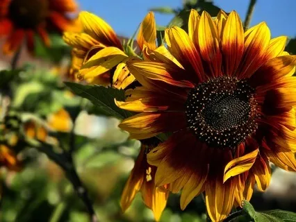 Anchored In Calm: A Soothing Meditation For Anxiety Relief