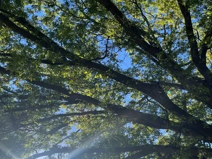 Anchoring And Arriving Practice