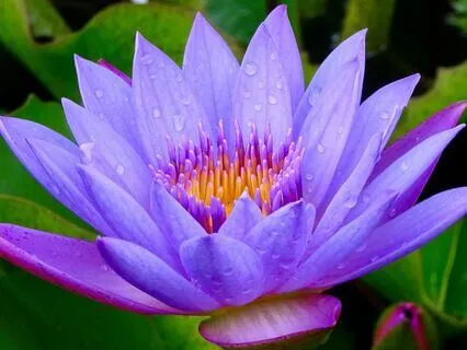 Anchoring And Returning: A Foundational Mindfulness Practice