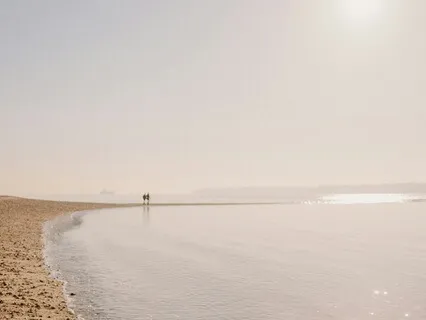 Anchoring Awareness In Mindfulness Meditation