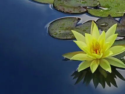 Anchoring Before Starting Work