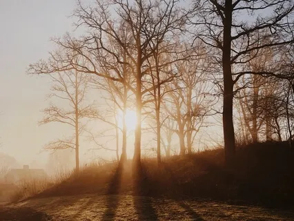 Anchoring Confidence