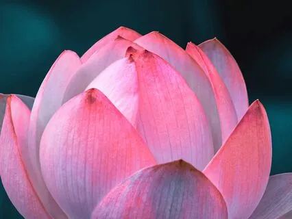 Anchoring In The Breath: A Mindfulness Meditation