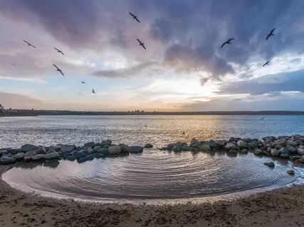 Anchoring In The Frequency Of Gratitude