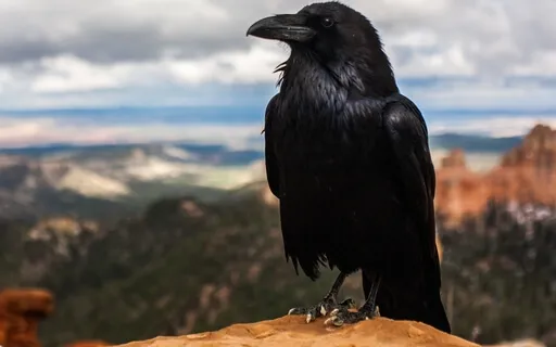 Anchoring In The Moment To Help Us Center