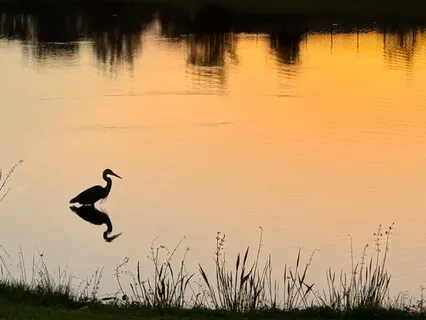 Anchoring In The Present Moment For Peace And Calm