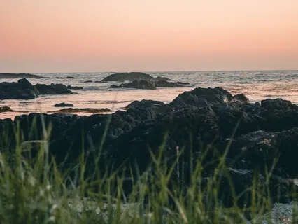 Anchoring Into Breath