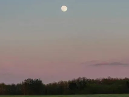 Anchoring Into Your Desired State - Evening Practice