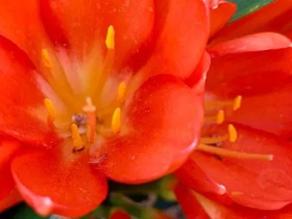 Anchoring Joy In Your Being