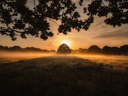 Anchoring Meditation