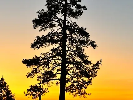 Anchoring Meditation