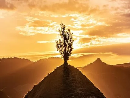 Anchoring The Light Meditation