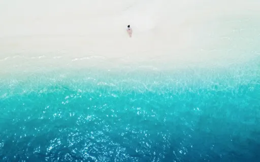 Anchoring To A Sense Of Peace In A Chaotic World