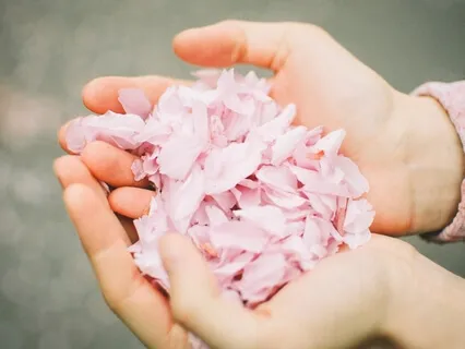 Anchoring Your Awareness