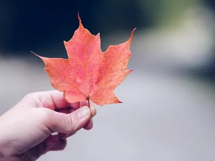 Anchors To The Present Moment