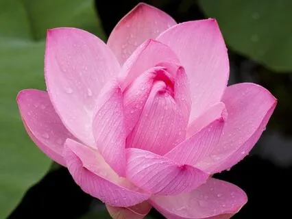 Ancient Affirmations For Eternal Youth