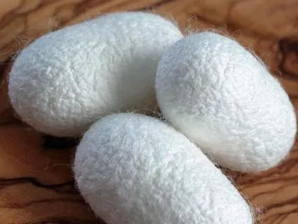 Ancient China Bedtime Story - The Silkworms Are Sleeping