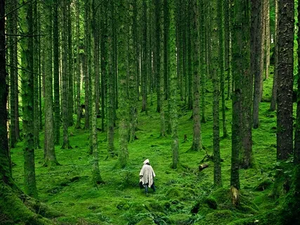 Ancient Goddess Magic: Nemetona