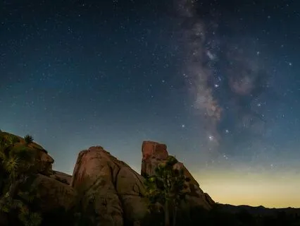 Ancient History Within