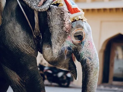 Ancient Indian Stories: The Blind Men And The Elephant