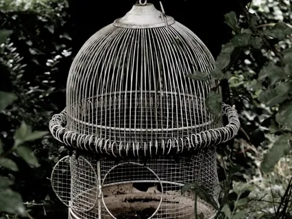 Ancient Indian Stories: The Cry Of The SongBird