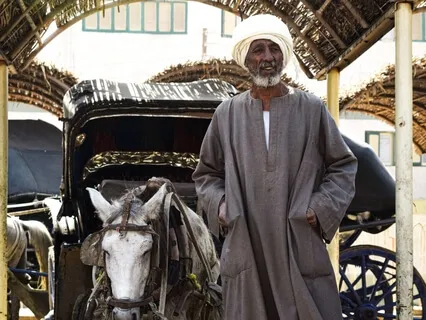 Ancient Indian Stories: The Old Washerman And The Donkey