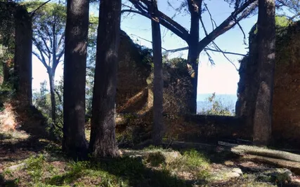 Ancient Intelligence