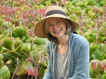 Ancient Knowledge - Tone Therapy