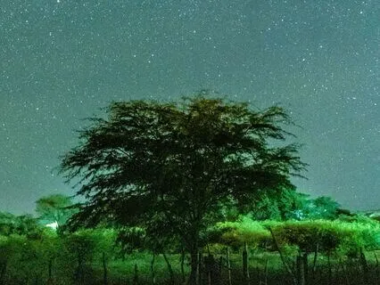 Ancient Meditative Memories