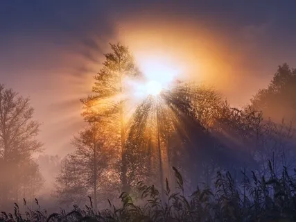 Ancient Spirit - Version 2